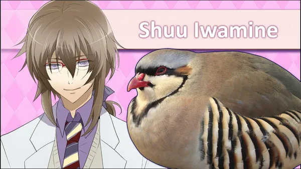 game valentine - Hatoful Boyfriend